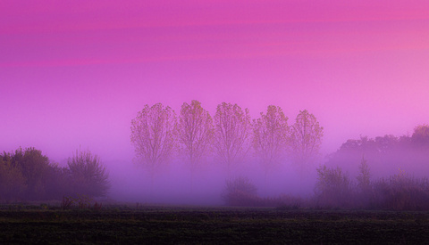 Using the Rule of Odds in Landscape Compositions