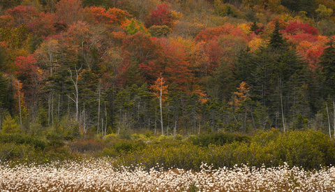 Simplifying the Scene in Landscape Photography