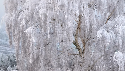 Why You Should Print Your Photos