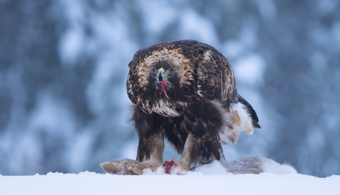 Challenge Your Approach to Photography by Ripping Up These Common Beliefs