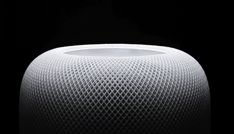 Exploring Macro Photography at Home  