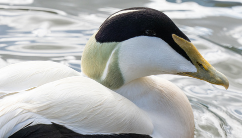 A Superior Way You Can Compare Camera Lenses