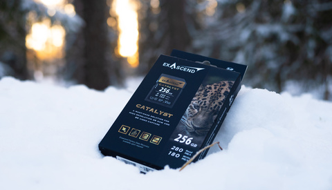 Why Did I Have to Delay This Article About the Exascend SDXC UHS II V60 Cards?