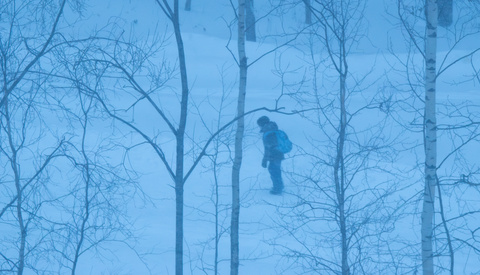 Do You Want to Become a More Creative Photographer? Become a Lone Wolf