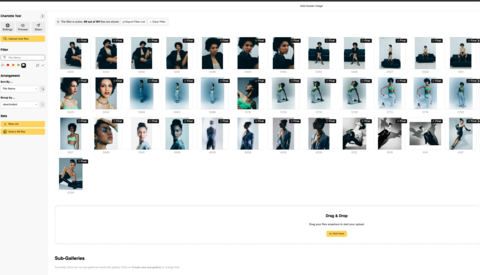 picdrop – Photo Gallery Software You Should Try