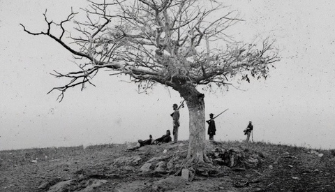 Battle of Antietam: Bearing Witness Through the Lens of History