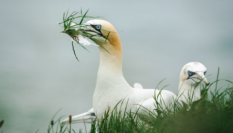 3 Cameras for Travel Photography This Summer