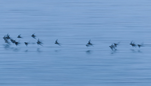 How to Get Your Photos Noticed and Appreciated