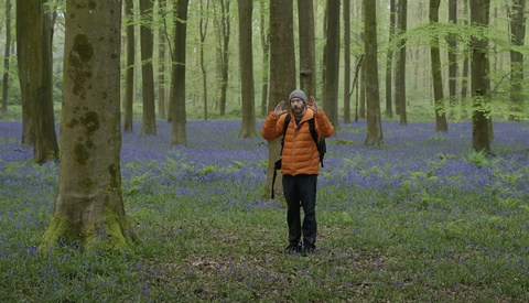 Photographing Woodlands Without Fog: Can It Be Done?