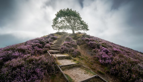 Essential Tips for Using Wide Angle Lenses in Landscape Photography