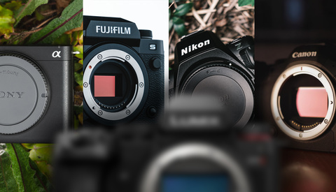 Five Fantastic Cameras for Both Stills and Video