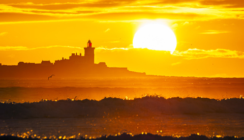 Landscapes Are the Cannabis of Photography