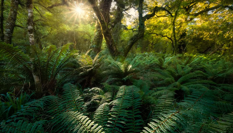 A Simple Workflow for Better Landscape Photo Edits