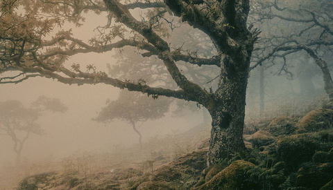 7 Reasons to Embrace Dreary Melancholic Conditions