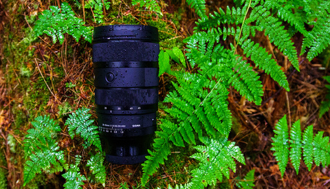 We Tested the World's Brightest Full Frame Zoom: The Sigma 28-45mm f/1.8 DG DN Art