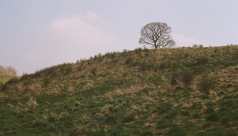 Does Shooting on Film Instantly Improve Your Photos?