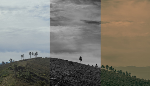Editing Ideas For Midday Landscape Photography