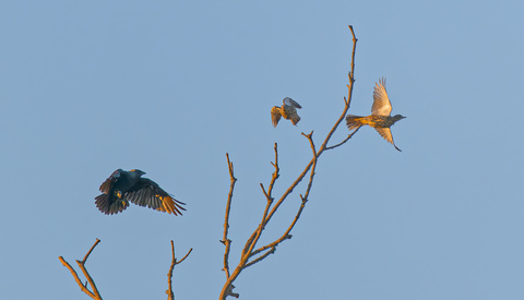 Why Do Photographers Often Overlook the Synergy of Composition and Exposure?