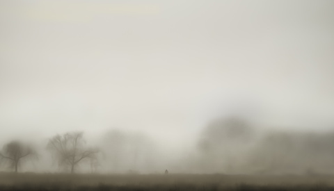 The Secret to Successful Photography Projects: An 11-Step Guide