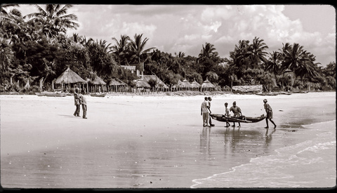 Canon v Nikon v Sony. Forget That and Choose Your Side in This More Important Argument Instead.