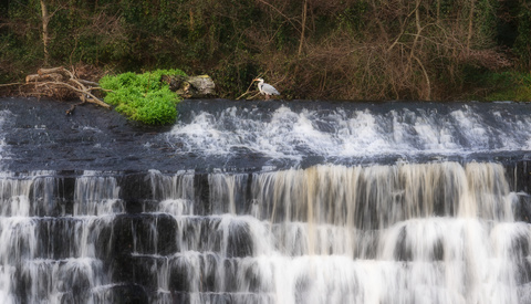 A Simple Hack to Get Better at Photography: Stay Local