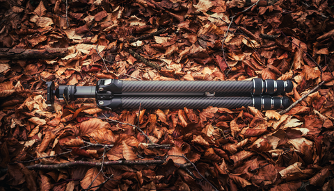 Travel Light, Shoot Heavy: We Review the Falcam TreeRoot Quick Lock Lite Tripod