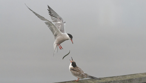 What's All the Noise About? Why Should Your ISO Setting Still Matter to You?