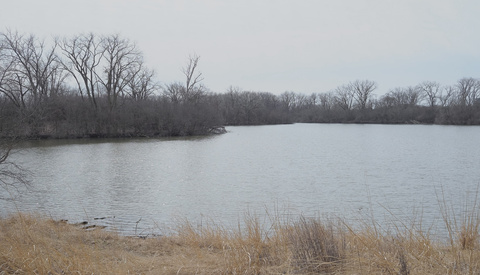 Is Failure the Secret to Better Photography?