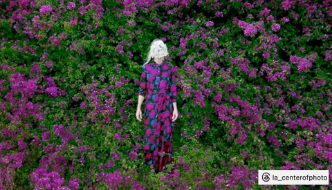 Blow Up on Social Media (And Never Appear on Camera)