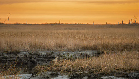 Take Full Control of Your Landscape Photo Edits