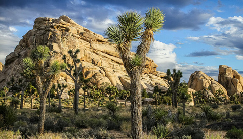 How to Use Lightroom’s New AI Masking for Better Landscape Edits