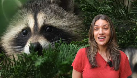 Wildlife Photography Is Easier Than You Think—If You Know These Tricks