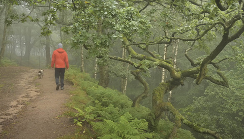 You Don’t Need to Travel to Take Great Photos