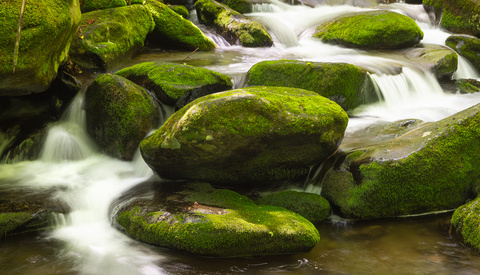 Can Photography and Vacations Really Coexist?