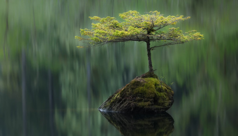 A Straightforward Way to Make Your Photos Better