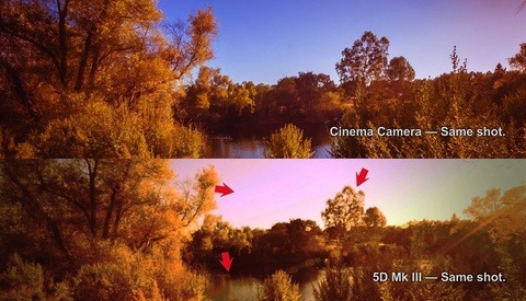 Video Comparison Of The Blackmagic Cinema Camera Vs The Canon 5D III