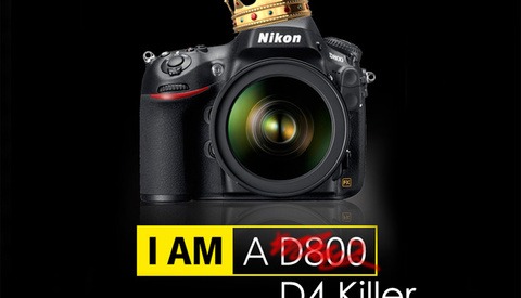 D4 Buyers May Want To Give The D800 A Second Look