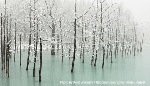 Spectacular Entries in National Geographic Photography Contest
