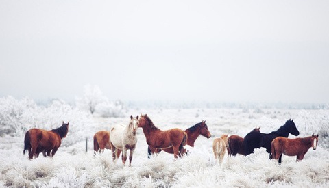 Kevin Russ, Traveling And Paying The Bills With iPhoneography