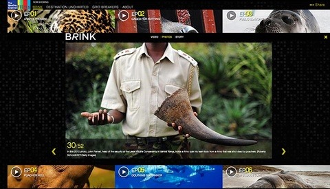 "Brink" Gripping Stories Of Endangered Animals From Weather Films