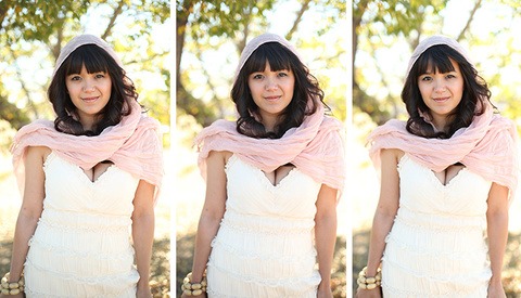 Can You Tell The Difference Between a $100 Lens and a $1600 Lens?