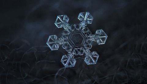 18 Unbelievable Images of Snowflakes