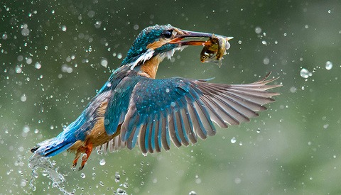 B&H Wilderness Photo Competition Winners Announced