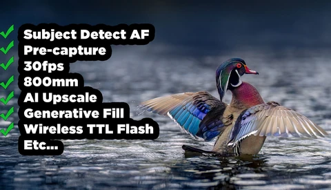 Wood duck swimming in water with wings partially raised, displaying iridescent plumage in blue and purple tones.