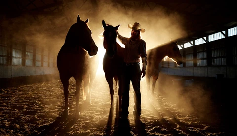 Silhouetted handler leading horses through dust-filled barn interior backlit by golden light.
