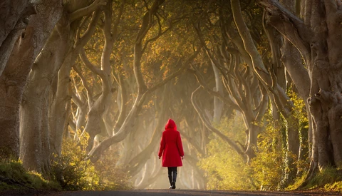 Person in red coat walking away down tree-lined road with golden filtered sunlight streaming through branches.