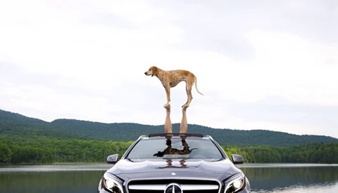 Mercedes-Benz USA Wins on Instagram (Again) with #GLAPacked Campaign