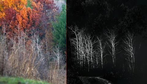 The Top Five Nik Color Efex Pro Filters For Superb Landscape Photos