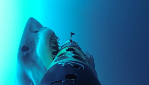 Watch This Startling Shark Attack and Appreciate All That Cameras Do