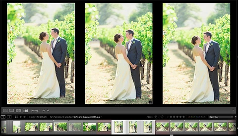 Are You Taking Advantage Of The Survey View in Lightroom?
